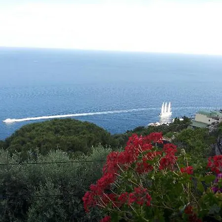 Il Pavone Bed and breakfast Conca dei Marini
