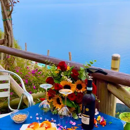 Il Pavone Bed and breakfast 4*
