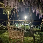Il Pavone Couette-café