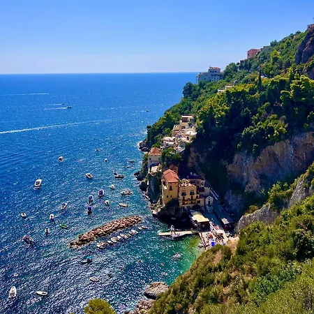 Il Pavone
