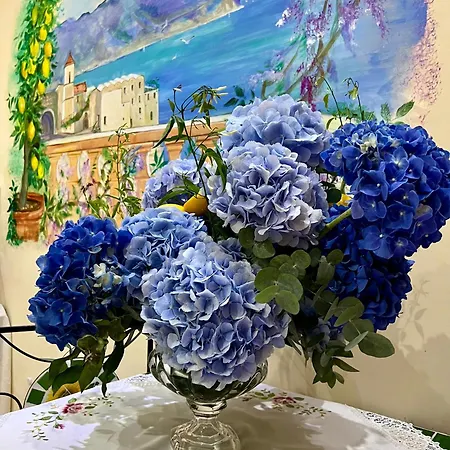 Il Pavone Bed & Breakfast 4*