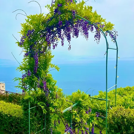 Il Pavone Bed & Breakfast