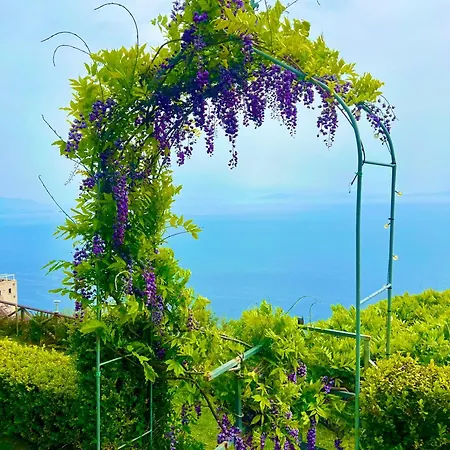 Il Pavone Bed & Breakfast