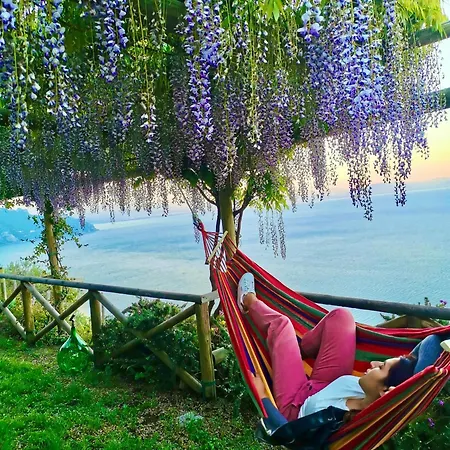 Bed & Breakfast Il Pavone 4*