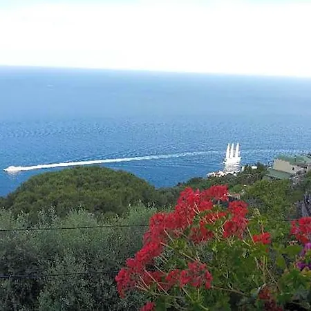 Il Pavone 4*