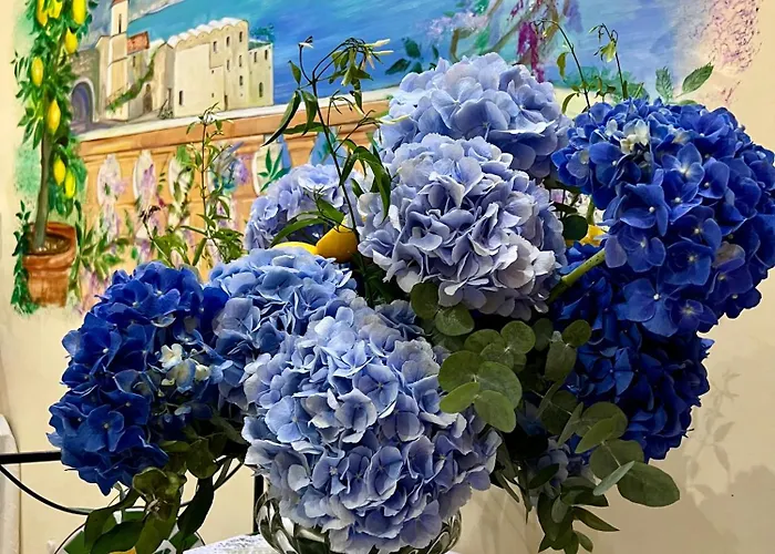 Il Pavone Oda ve Kahvaltı 4*