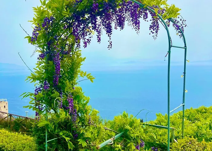 Il Pavone Oda ve Kahvaltı